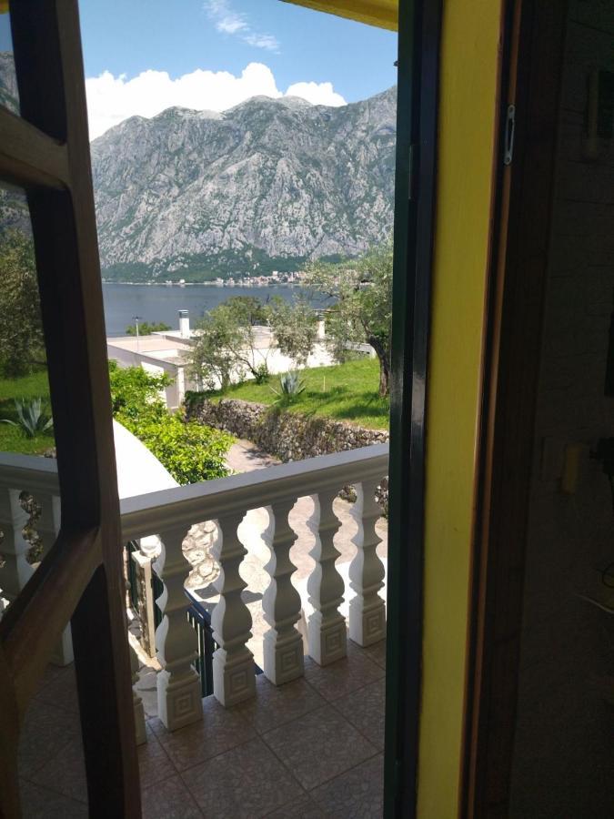 Apartment Ksenija Kotor Dış mekan fotoğraf