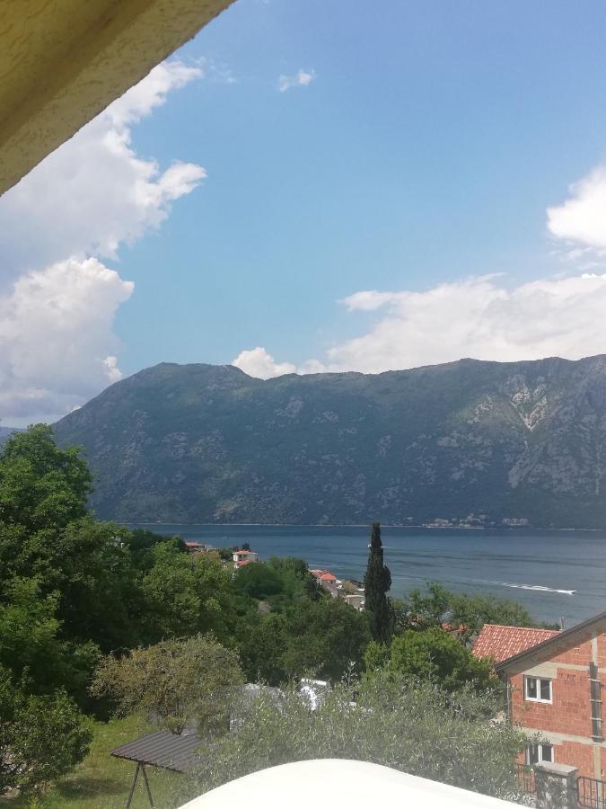 Apartment Ksenija Kotor Dış mekan fotoğraf